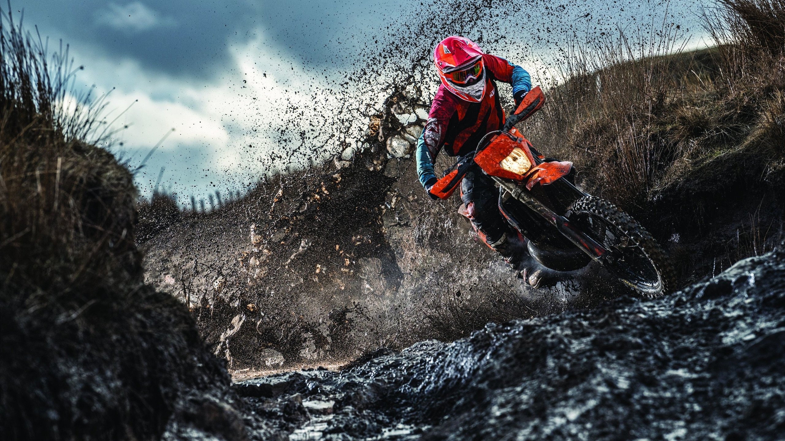 开云体育app-海港锋霸戴帽弑热刺，白百合后防千疮百孔，海港锋霸戴帽弑热刺，白百合后防千疮百孔